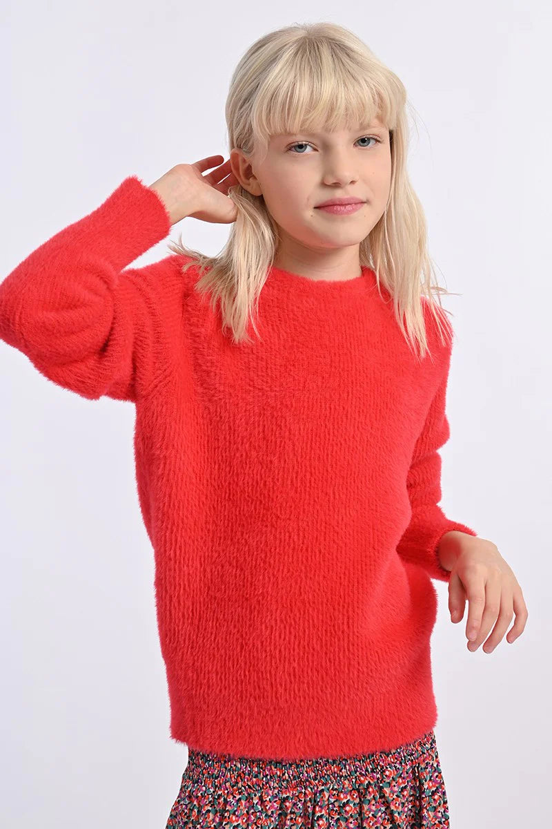 Red Coral Crew Sweater
