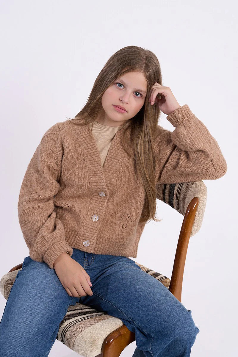 Camel Sweater V Neck