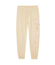 Load image into Gallery viewer, Dylan Sweat Pant
