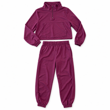Load image into Gallery viewer, Maroon Suede Feel Quarter Zip Top
