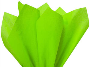 Color Tissue Paper 20X30" 24 Sheet Pack