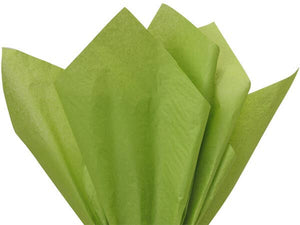 Color Tissue Paper 20X30" 24 Sheet Pack