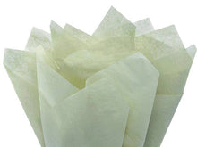 Load image into Gallery viewer, Color Tissue Paper 20X30&quot; 24 Sheet Pack
