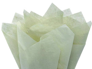 Color Tissue Paper 20X30" 24 Sheet Pack