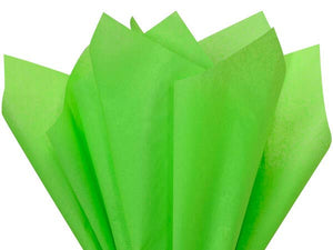 Color Tissue Paper 20X30" 24 Sheet Pack