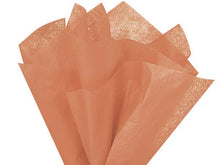 Load image into Gallery viewer, Color Tissue Paper 20X30&quot; 24 Sheet Pack
